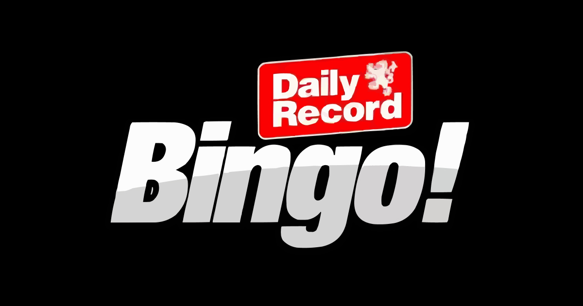 Daily Record Bingo Slots